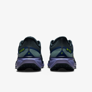 Nike AIR ZM PEGASUS 41 GTX 