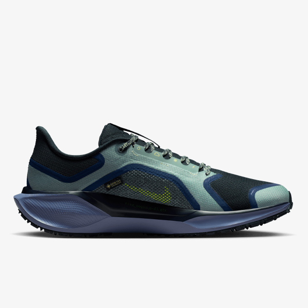 Nike AIR ZM PEGASUS 41 GTX 