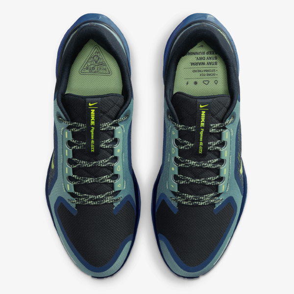 Nike AIR ZM PEGASUS 41 GTX 