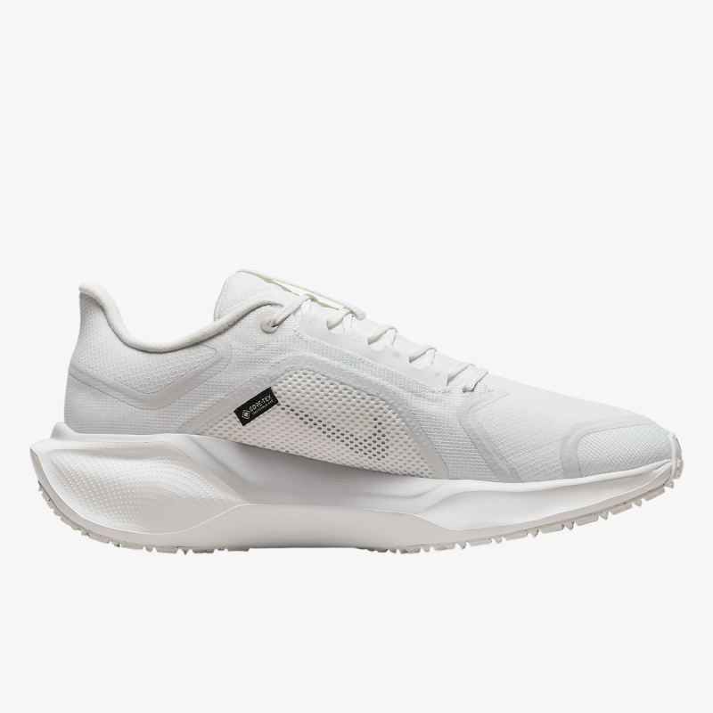 Nike AIR ZM PEGASUS 41 GTX 
