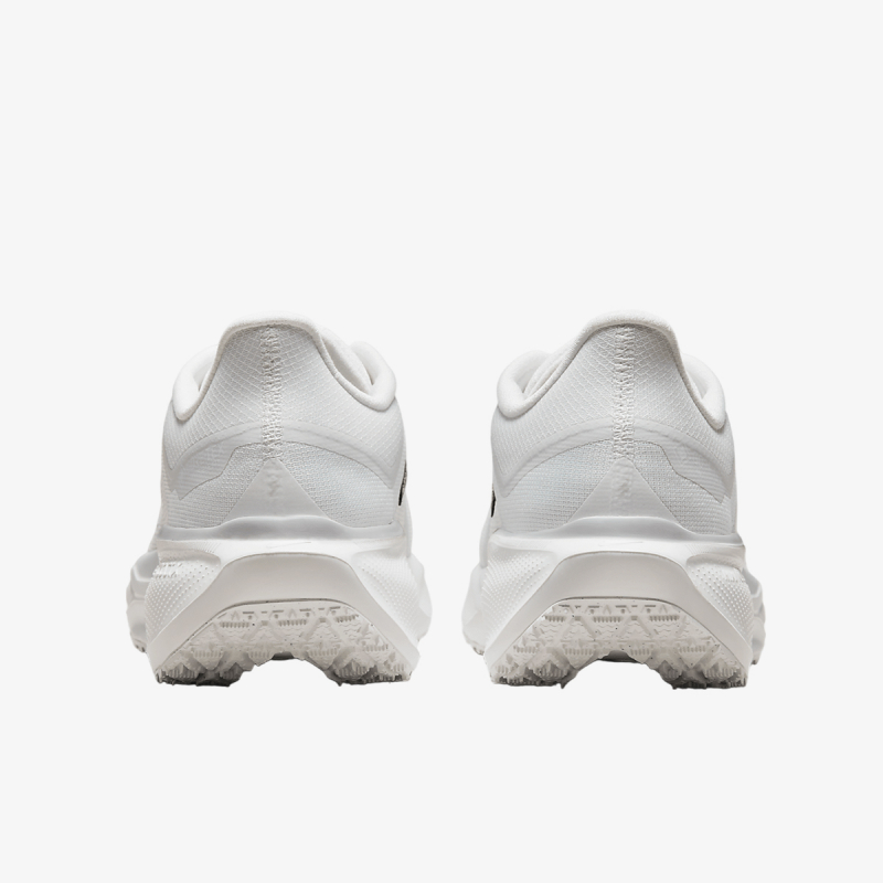Nike AIR ZM PEGASUS 41 GTX 