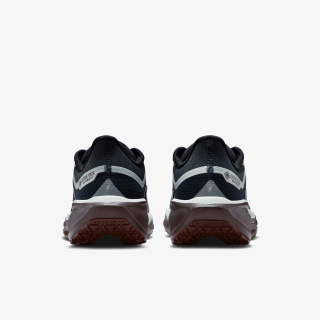 Nike Air Zoom Pegasus 41 