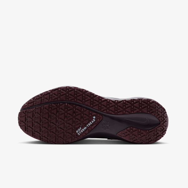 Nike Air Zoom Pegasus 41 