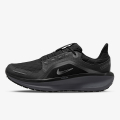 Nike Air WInflo 11 