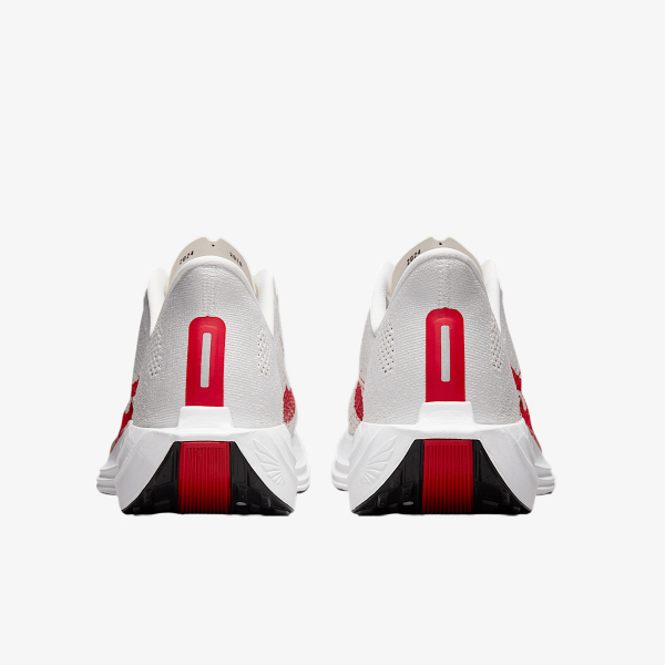 Nike PEGASUS PLUS 