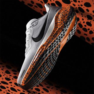 Nike Air Zoom Pegasus 