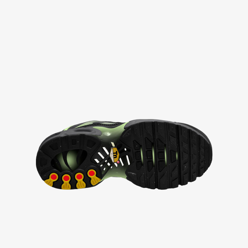 Air Max Plus 