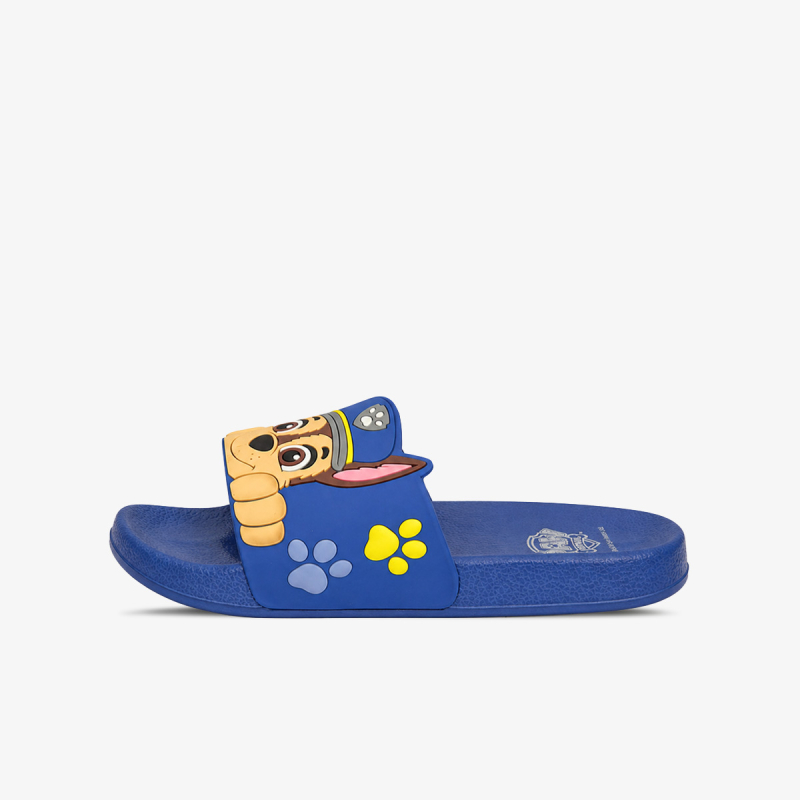 BDS PAW PATROL 