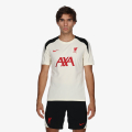 Nike LFC M NK DF STRK SS TOP K SE 