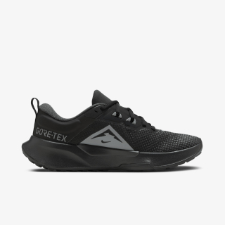 Nike WMNS JUNIPER TRAIL 2 GTX V2 