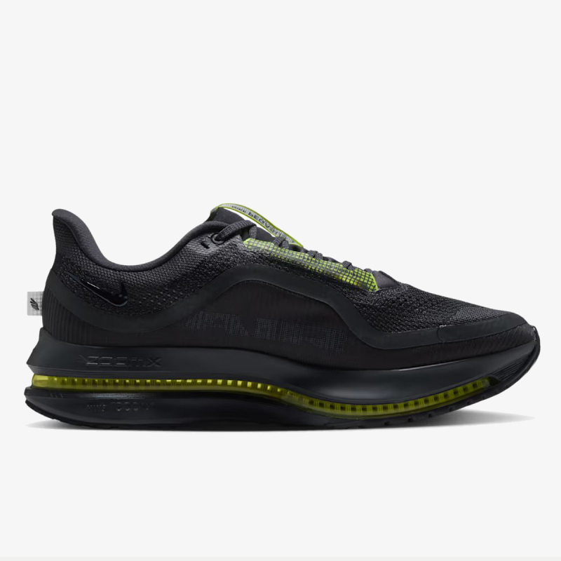 Nike Pegasus Premium 