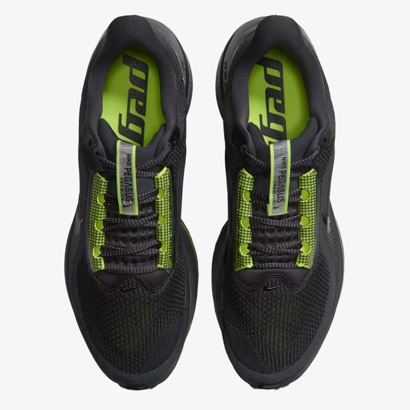 Nike Pegasus Premium 