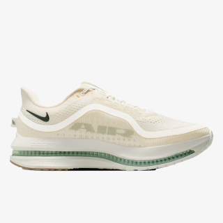 Nike Pegasus Premium 