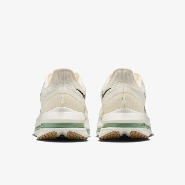 Nike Pegasus Premium 