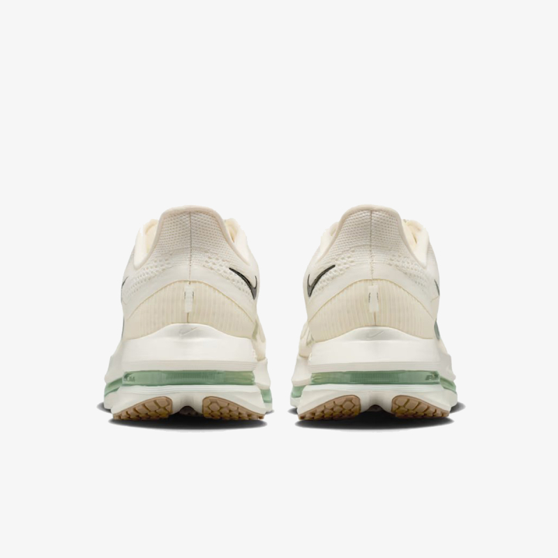 Nike Pegasus Premium 
