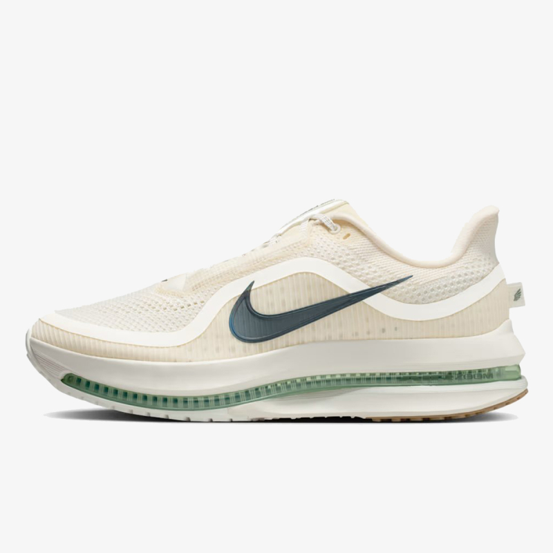 Nike Pegasus Premium 