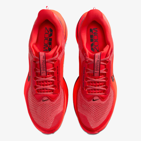 Nike Pegasus Premium 