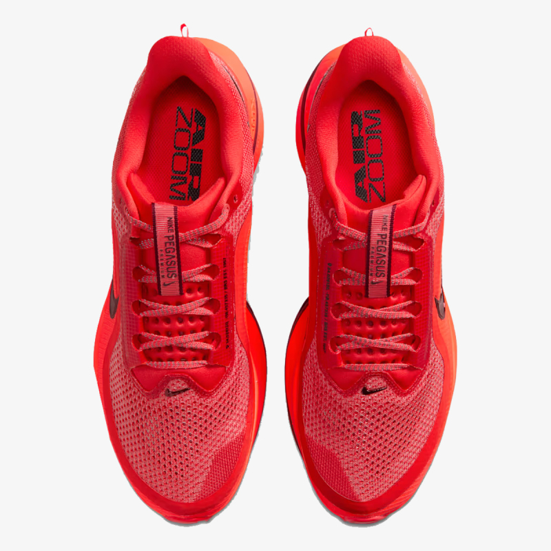 Nike Pegasus Premium 