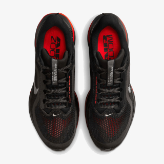 Nike Pegasus Premium 