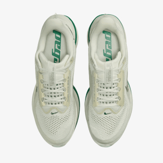 Nike Pegasus Premium 