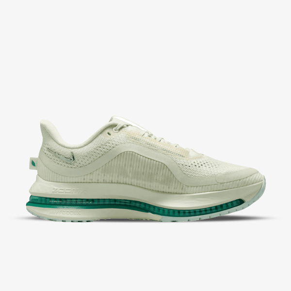 Nike Pegasus Premium 