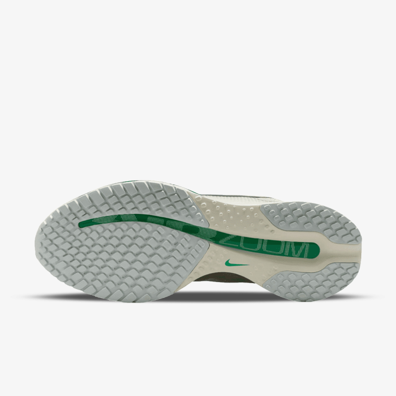 Nike Pegasus Premium 