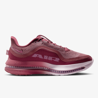Nike Pegasus Premium 