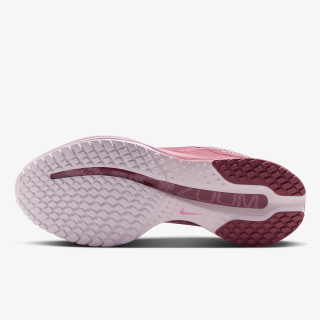 Nike Pegasus Premium 