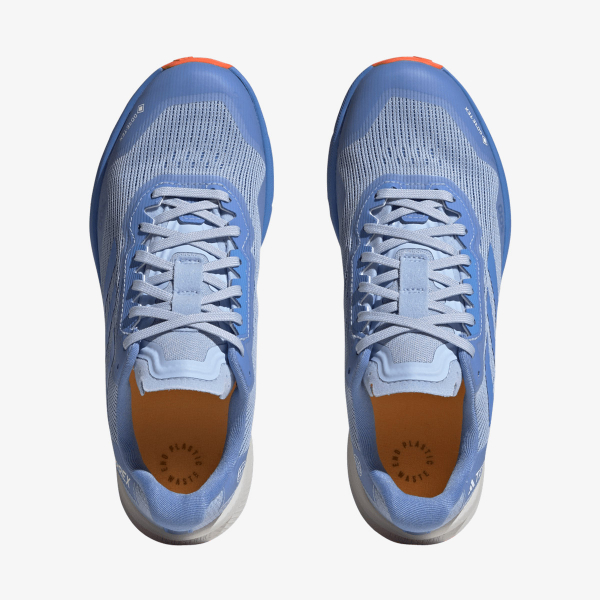 adidas Terrex Agravic Flow 2 GTX W 