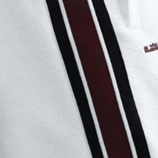 LeBron Standard Issue Therma-FIT 