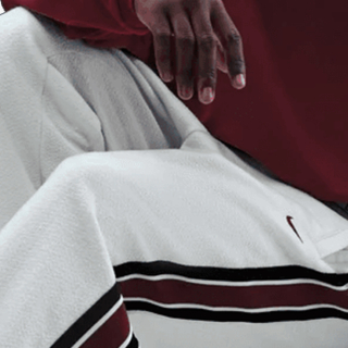 LeBron Standard Issue Therma-FIT 