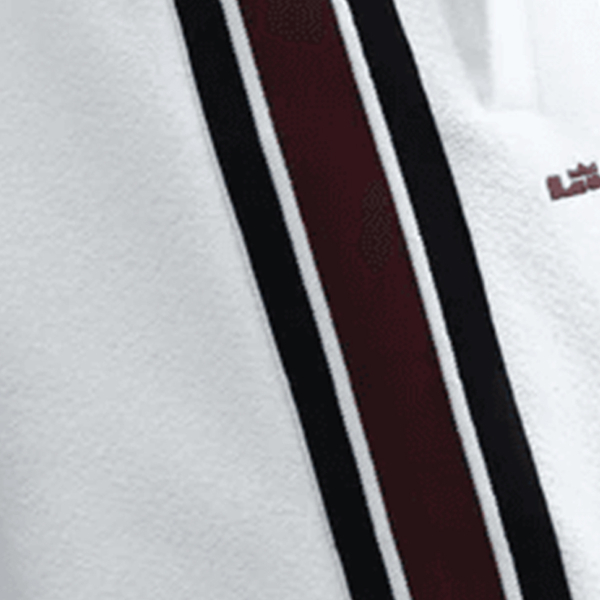 LeBron Standard Issue Therma-FIT 