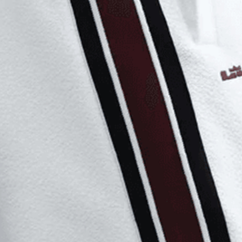 LeBron Standard Issue Therma-FIT 