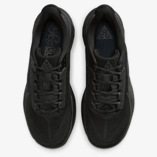 Nike Pegasus 