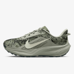 Nike Pegasus 