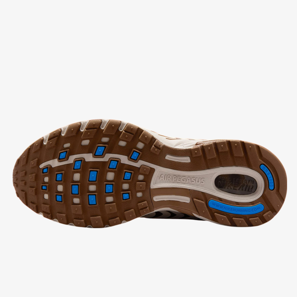 Nike Pegasus 2005 SE 