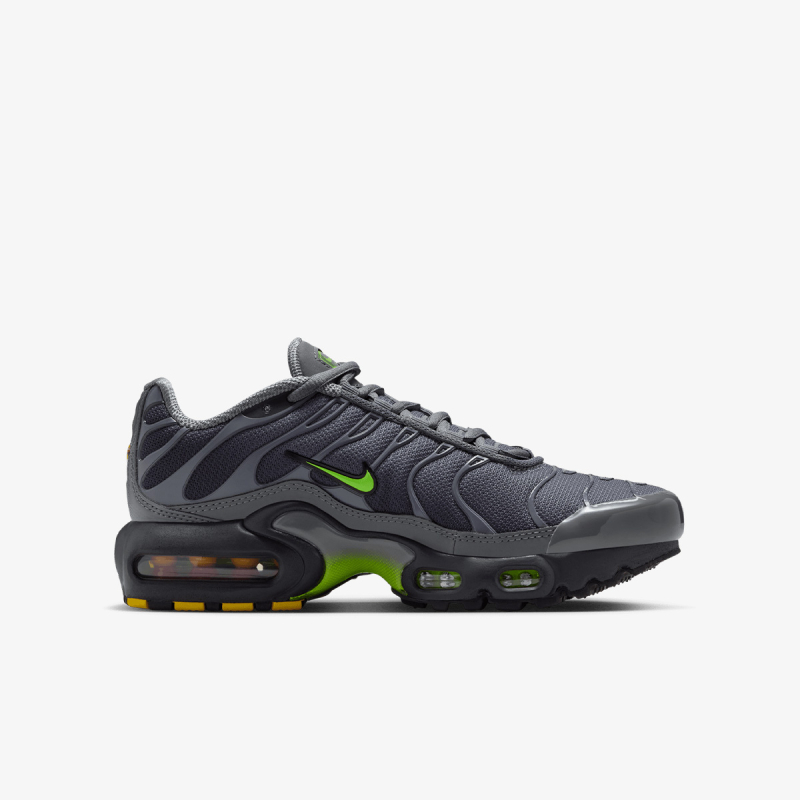 Nike NIKE AIR MAX PLUS GS MTDH 
