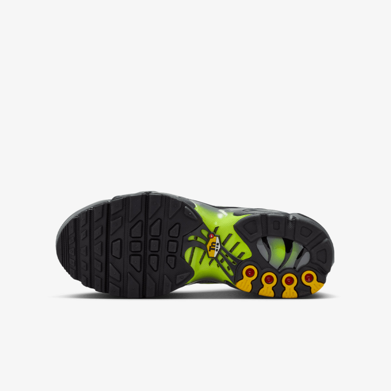 Nike NIKE AIR MAX PLUS GS MTDH 