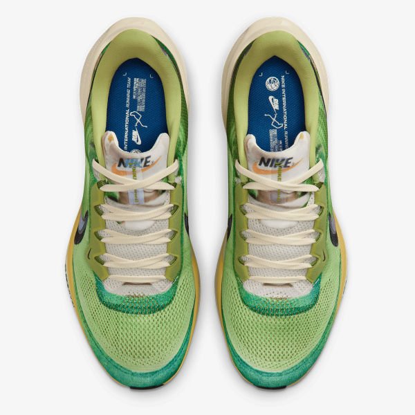 Nike Air Zoom Pegasus 41 SE 