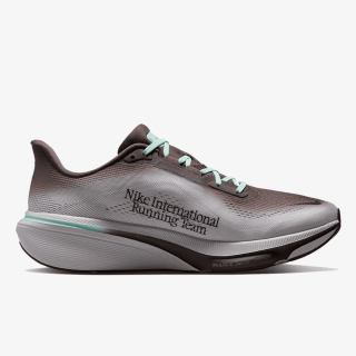 AIR ZOOM PEGASUS 42 
