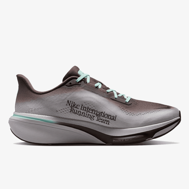 AIR ZOOM PEGASUS 42 