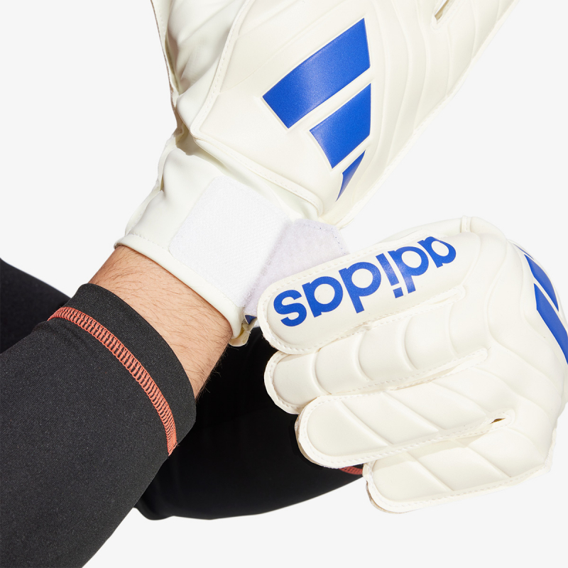 COPA GL CLB 