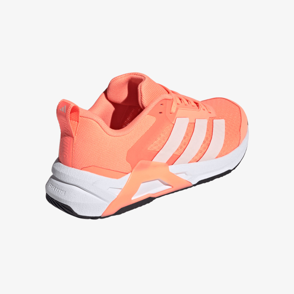 Dropset Control Trainer 