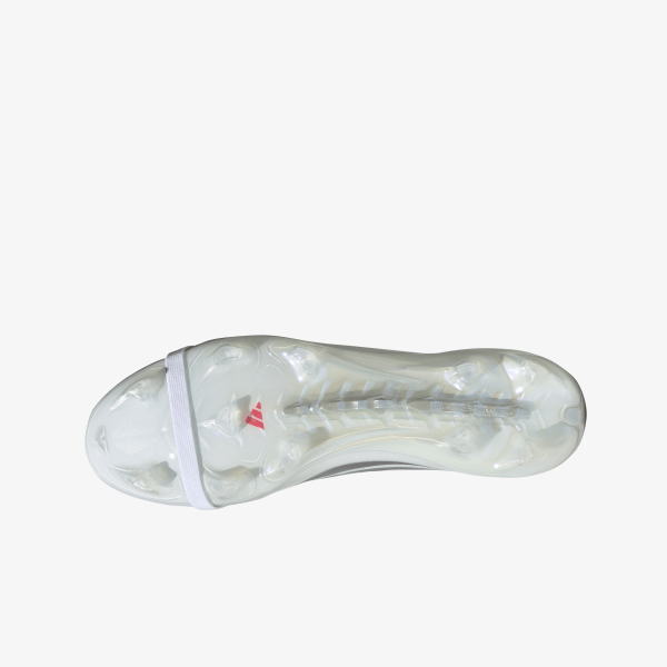 Predator Pro 