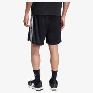 Workout Essentials Base 3 