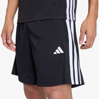 Workout Essentials Base 3 