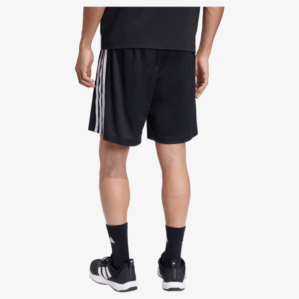 Workout Essentials Base 3 