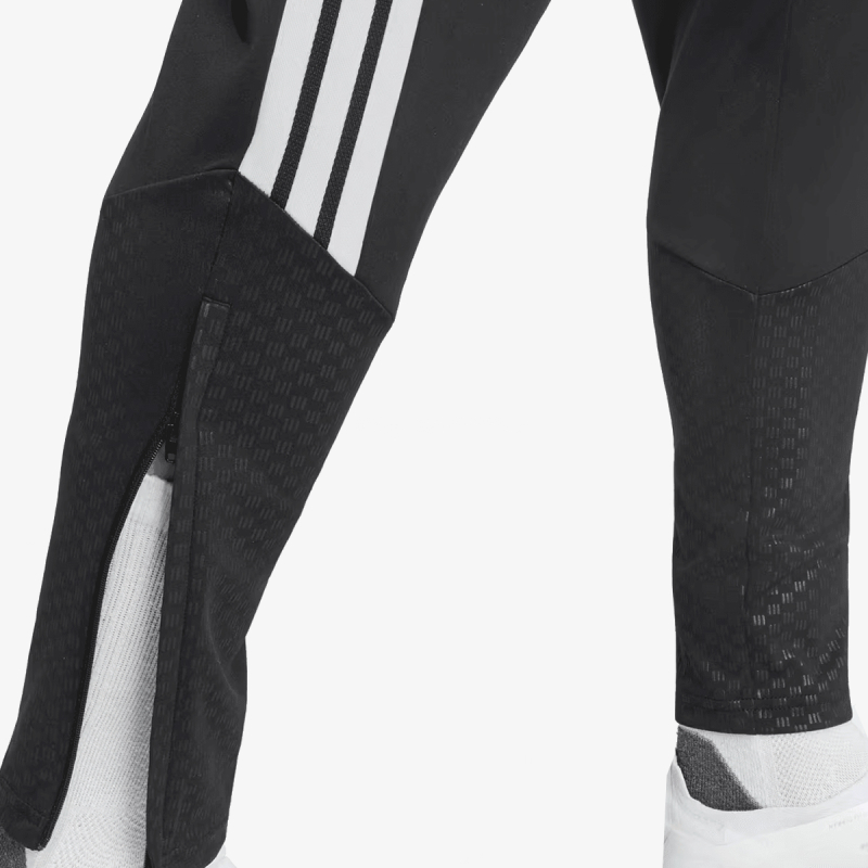 adidas LFC TR PNT 