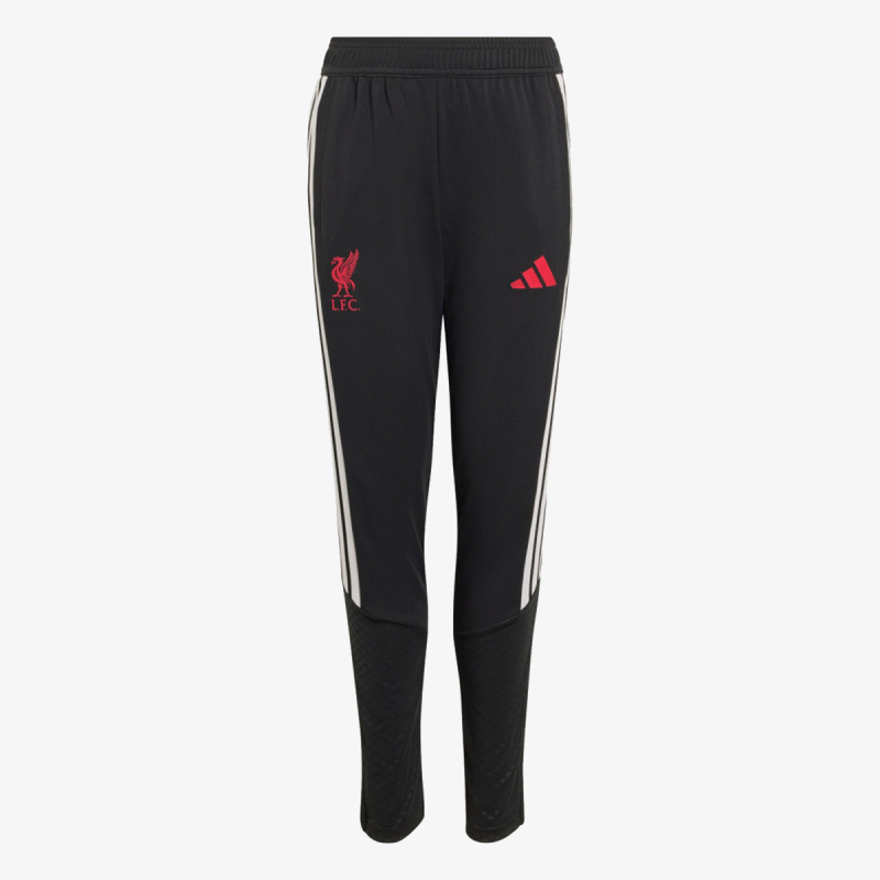 adidas LFC TR PNTY 