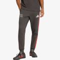 Audi Formula One Team DNA 